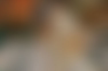 How To Understand What Your Dog Is Saying