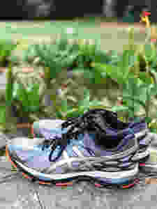 My Tekkies in my Tuin. Hulle het nog nie baie myle op nie.... ;)