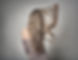 A2
