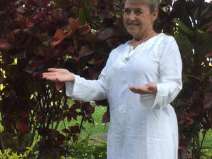 Ashtar Guides and Guardians