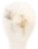 "Francesca" Bridal Hair Pins