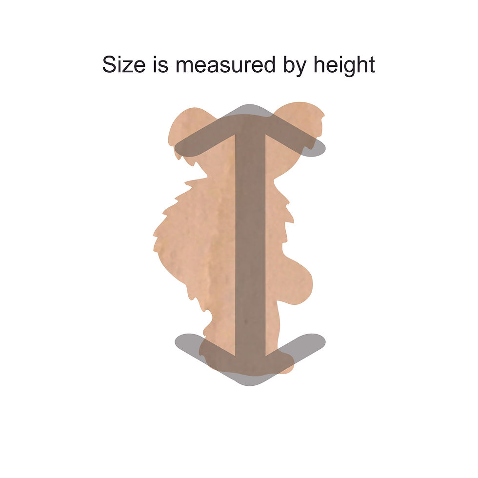 Thumbnail: Walking Bear Craft Cutout A523A