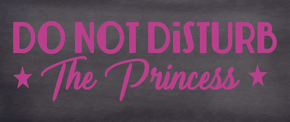 Thumbnail: Do Not Disturb The Princess Wooden Sign, 5"x12"