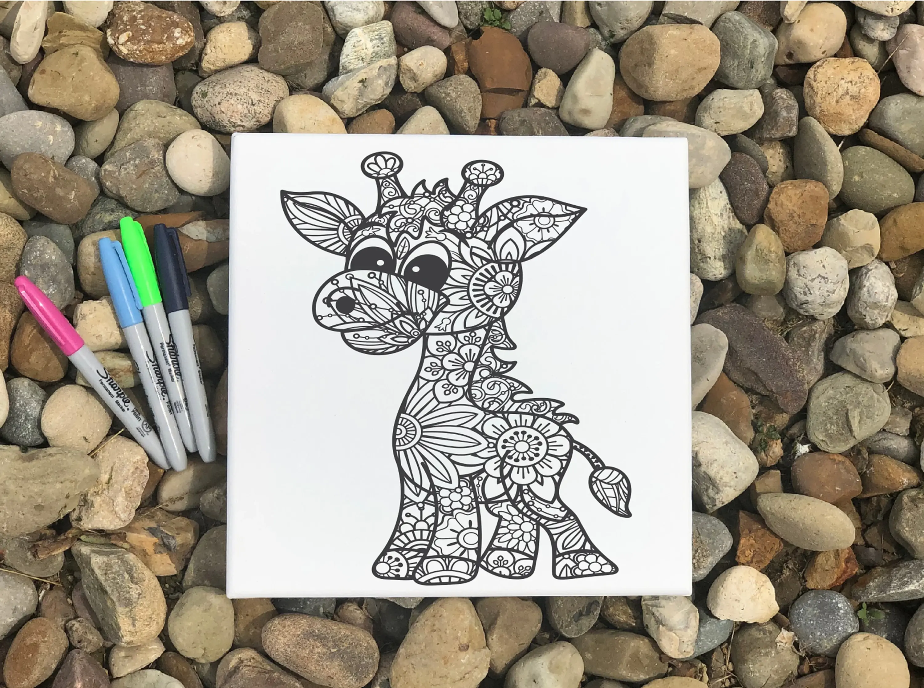 Color Your Own Canvas Wall Sign, Giraffe Wall Art for Kids and Adults
