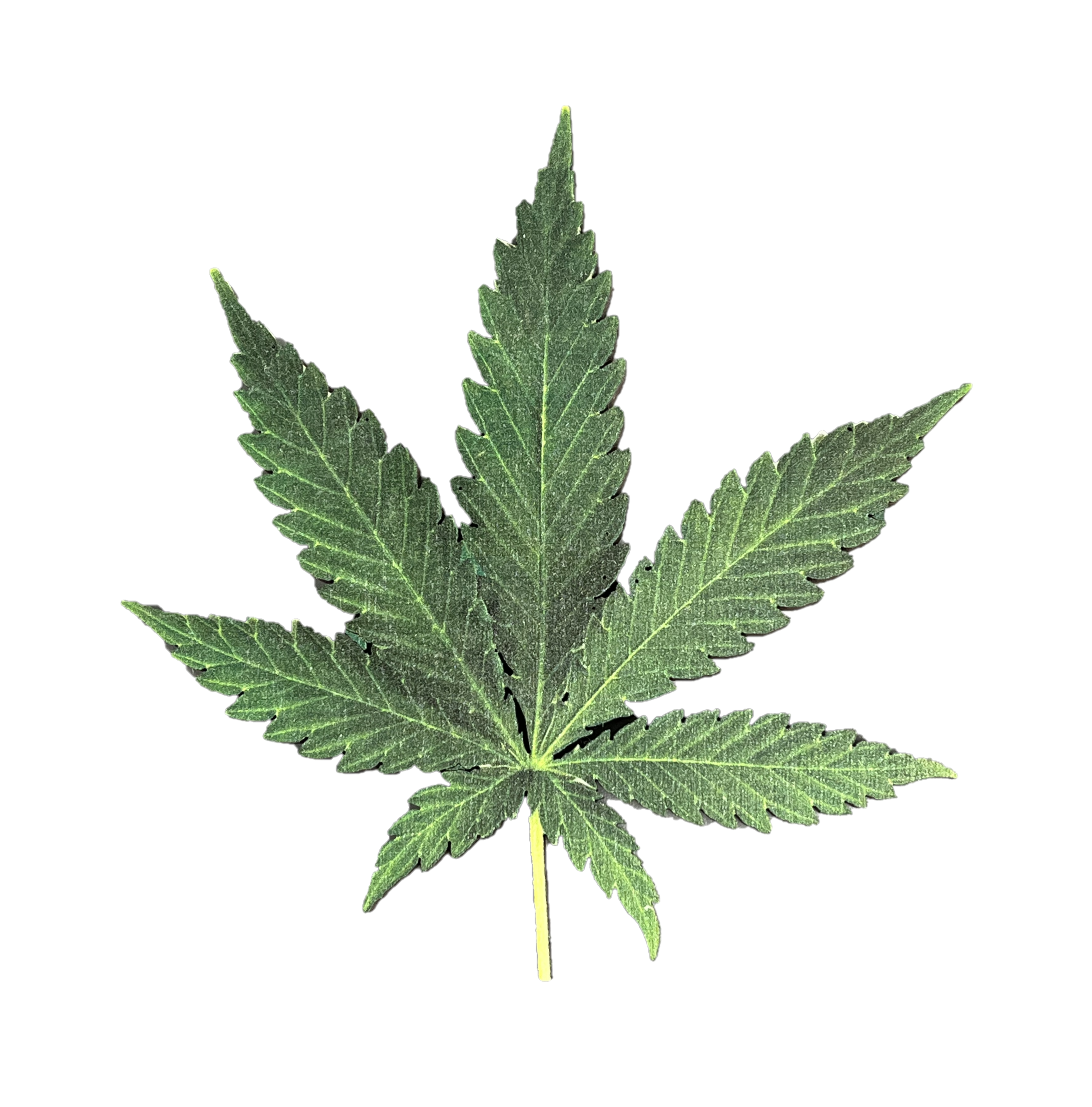 Wooden Cannabis Weed Leaf