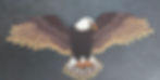 3d layered bald eagle