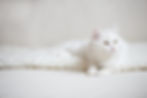 AdobeStock_127274186.jpeg