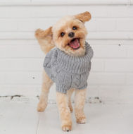 Lena B & Company Pet & Gift