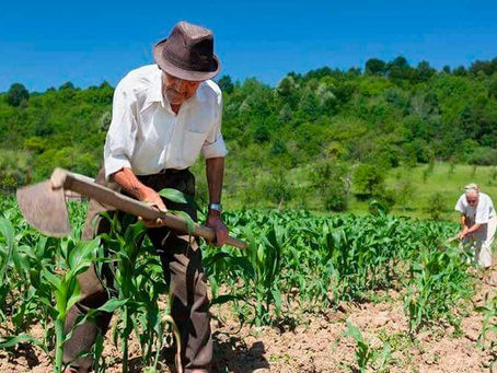 APOSENTADORIA DO TRABALHADOR RURAL