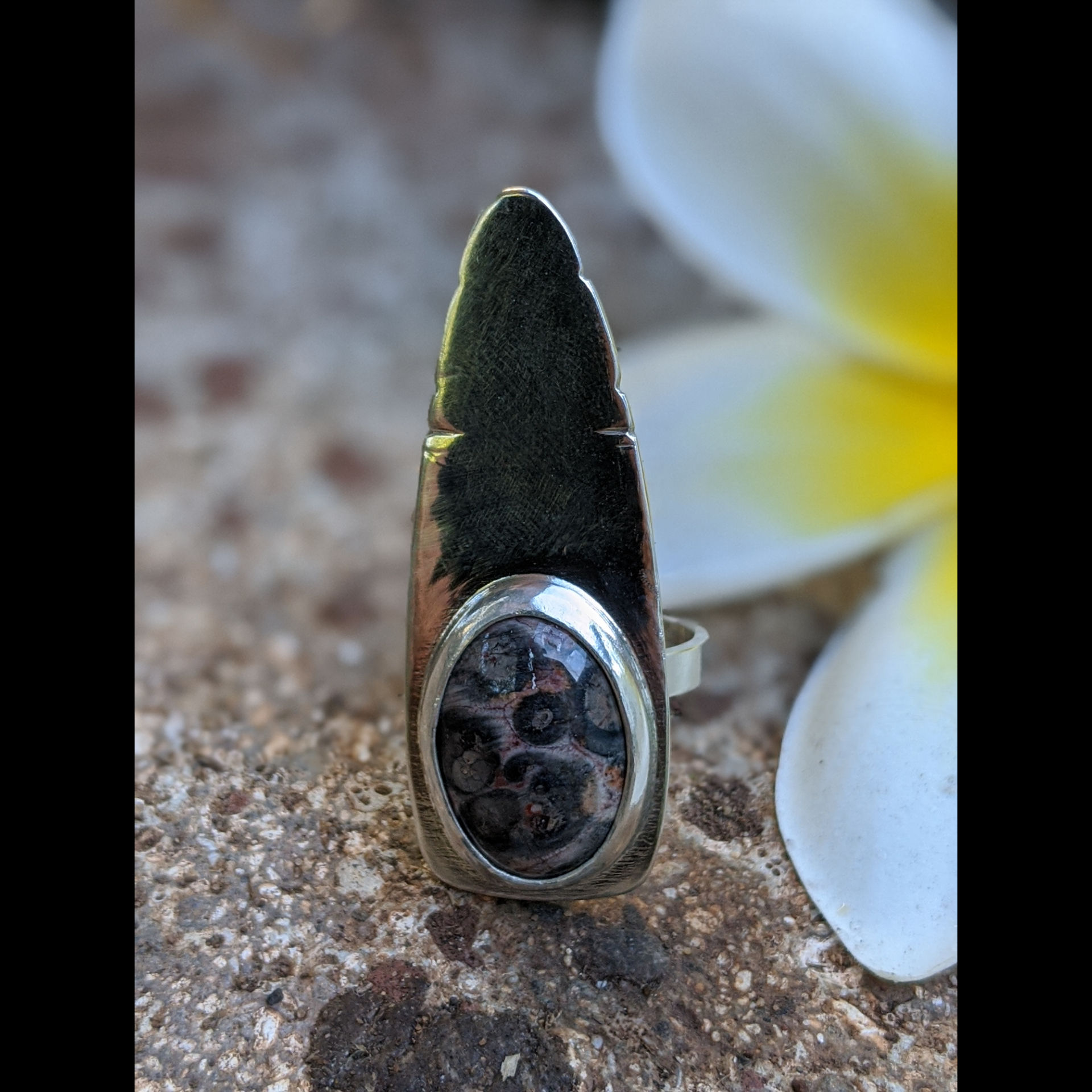 Ocean Jasper DOORKNOCKER (size 8)