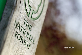 The National Forest Holidays