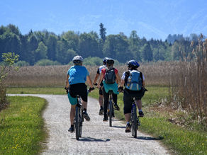 Welcome to National Forest EBike Holidays