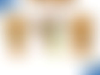 Garfield e Odie no estilo Pop! da Funko