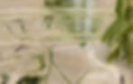 AVW_8_0 - kopie_edited.jpg