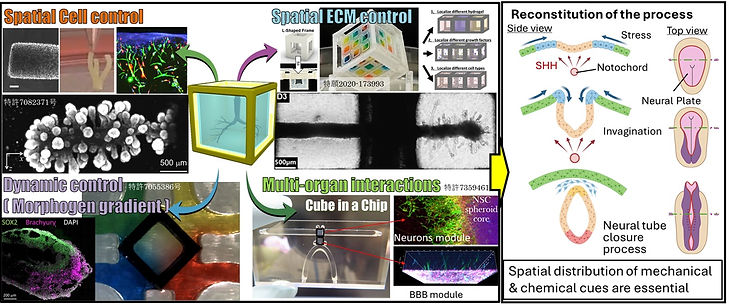 Hagiwara - Masaya Hagiwara.jpg