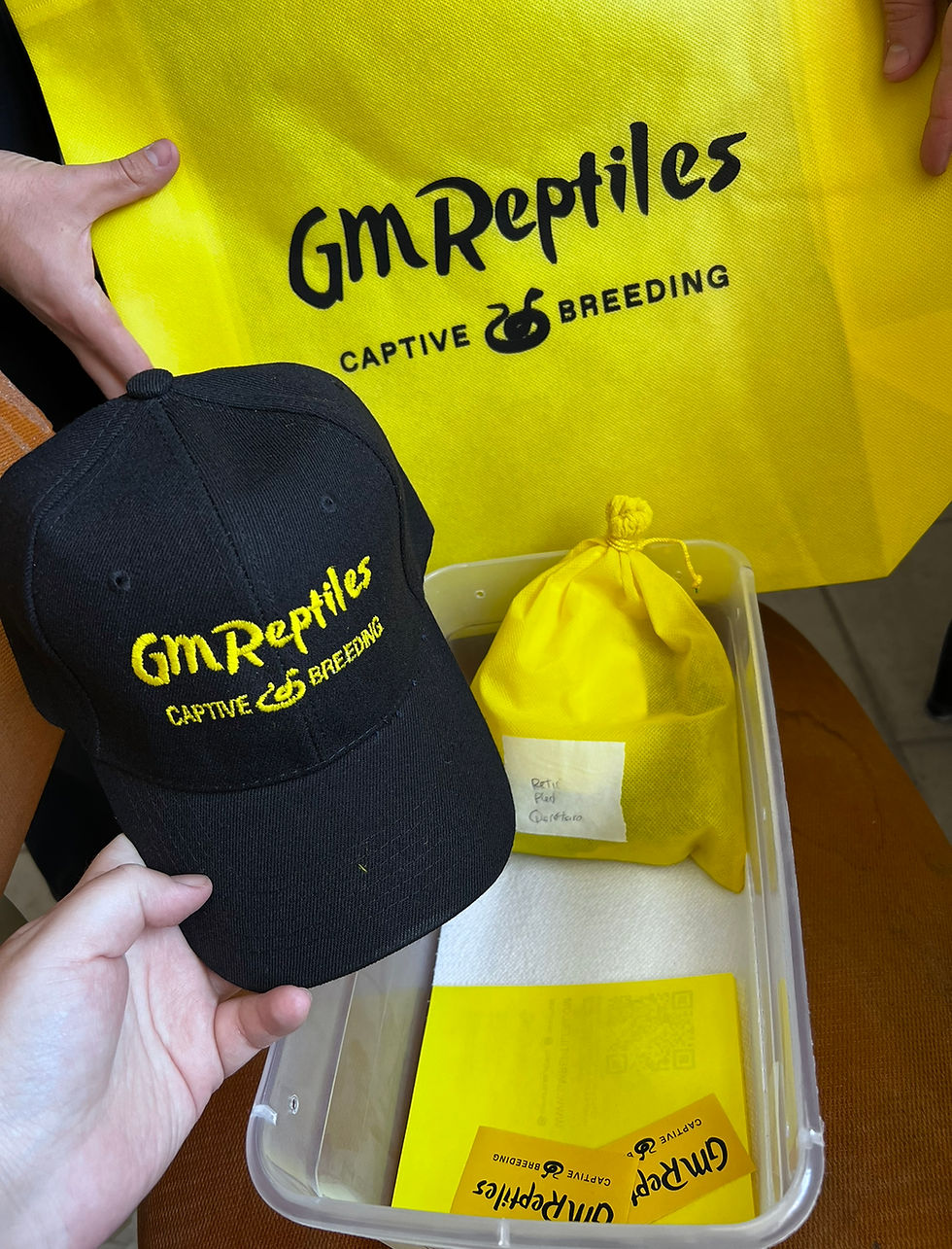 Miniatura: PREVENTA PIED HIGH WHITE