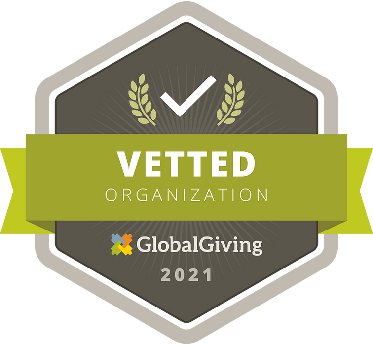 Global Giving logo.webp