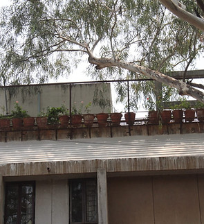 WhatsApp Image 2024-10-14 at 18.51.59_57b047e9.jpg