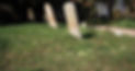 all-saints-churchyard.jpg