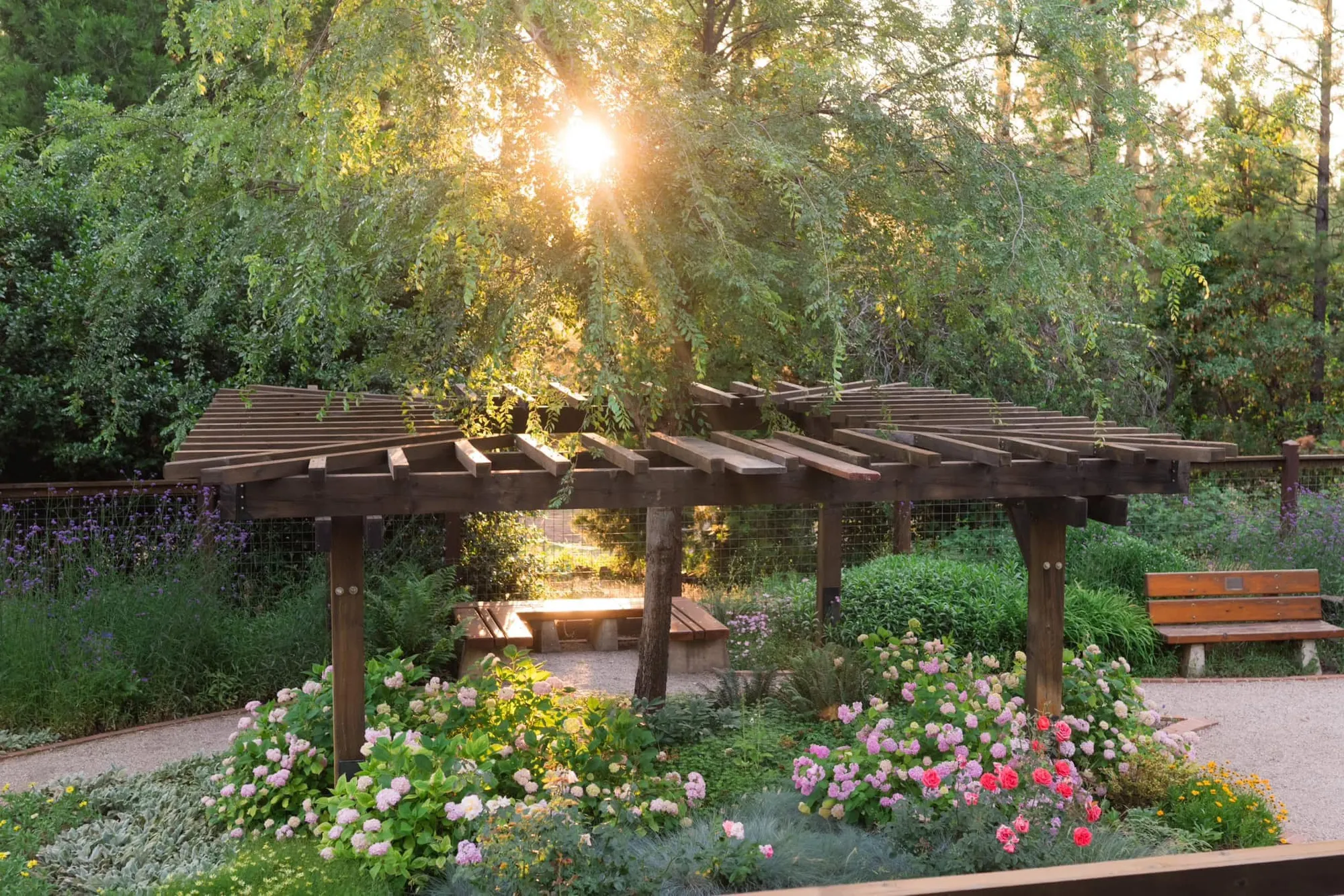 Blooming garden beds at North Star House