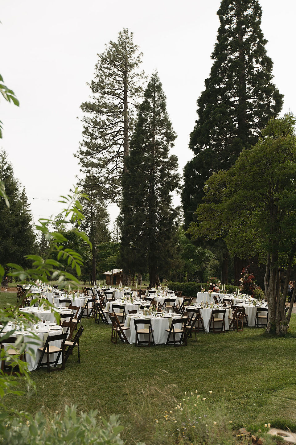 Reception photo at North Star House Wedding on east lawn
