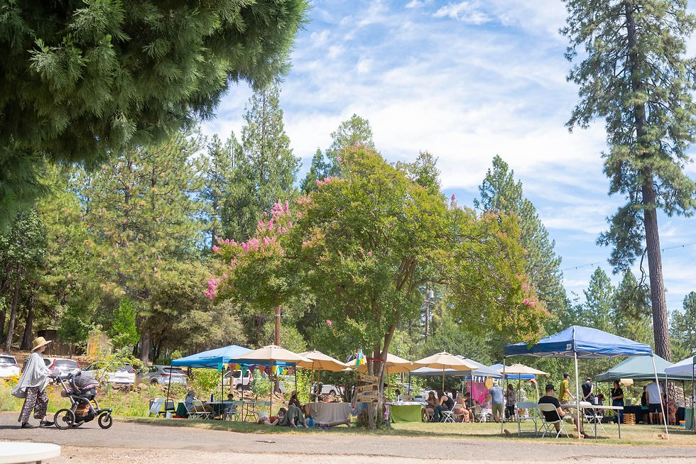 full view of festival fun

