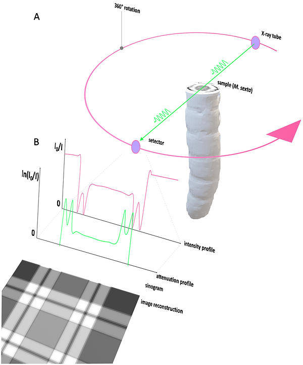 Image generation in CT imaging