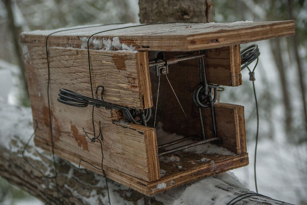 hunt-3097935_1920.jpg