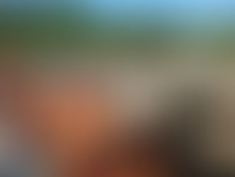 Pööripäev, Tamm, Üheksavägine ja Külluse Seadus.