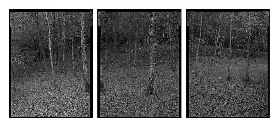 Jordi  Calafell (13).jpg