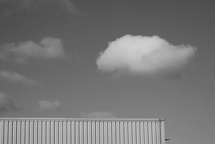 ELISA TORREIRA (3).jpg