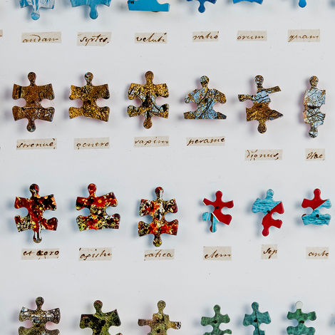 INSECTOS PERFECTOS 2. 2017.jpg