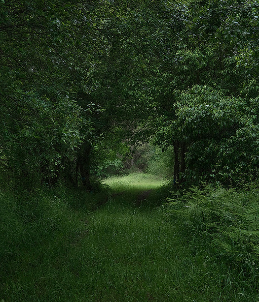 Ariadna Silva Fernandez