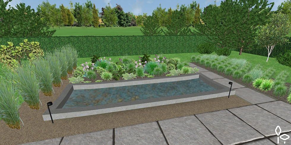 Astrancijų I iki birželio vidurio