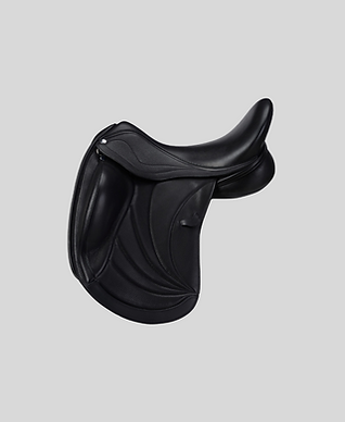 Frank Baines_Sorrento_Saddlefitting by Dani