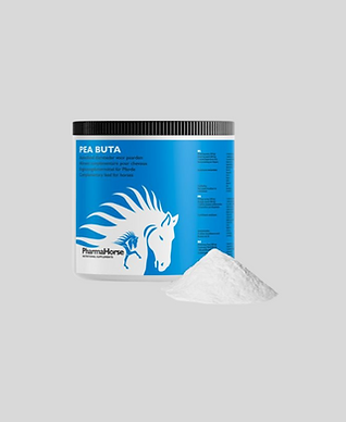 PharmaHorse_PEA BUTA_Saddlefitting by Dani