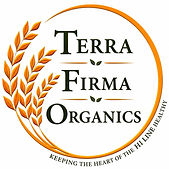 TERRA FIRMA FINAL.jpeg