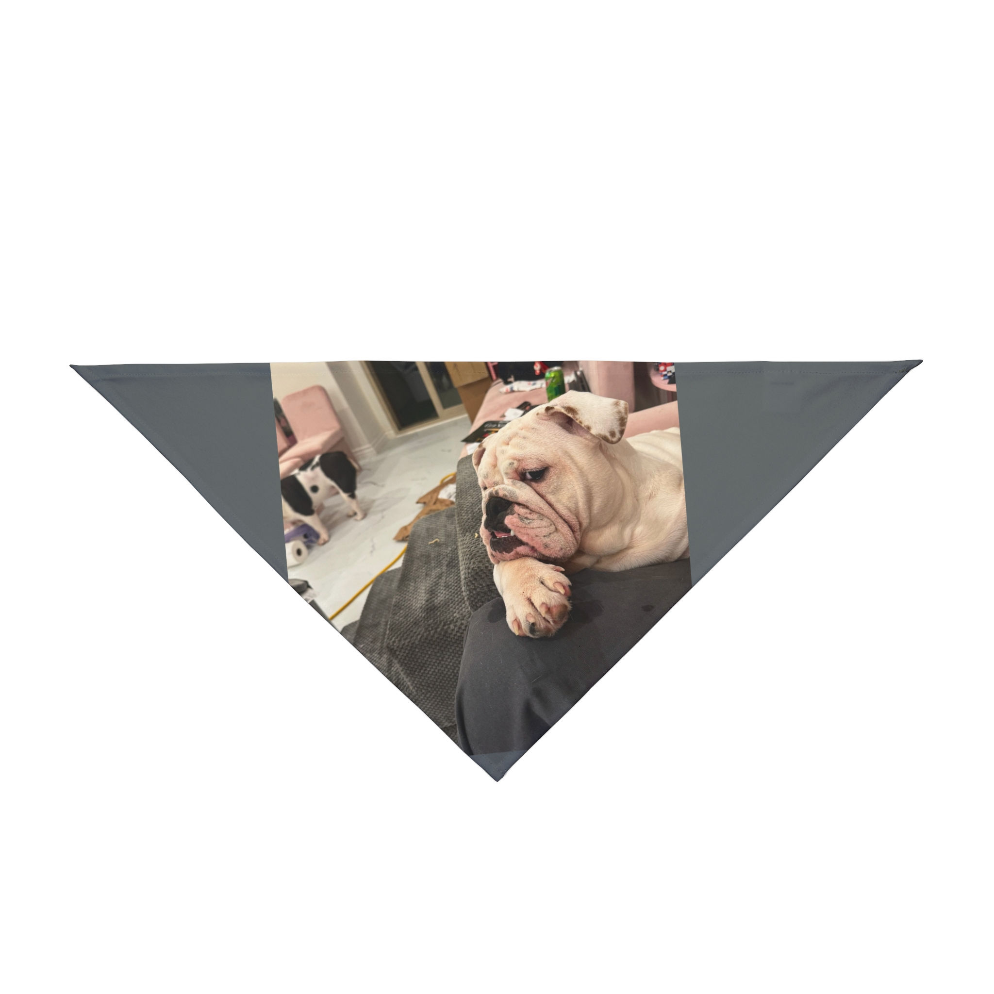 Pet Bandana