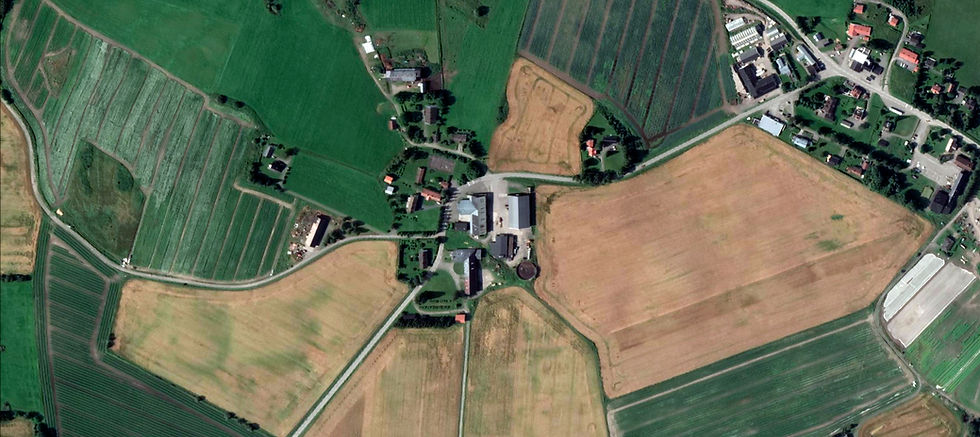 Toten Kålrotpakkeri luftfoto.jpg