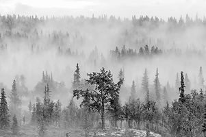 Bilde 09.03.2018, 11 18 49.jpg