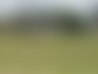 Murove and Chisaka named in the travelling sqaud to play Lowveld Warthogs