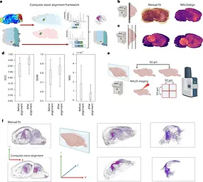 metalign3D featured.webp