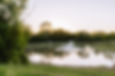 Picturesque pond with a fountain, surrounded by trees and meadow at Sugar Hill RV Resort i