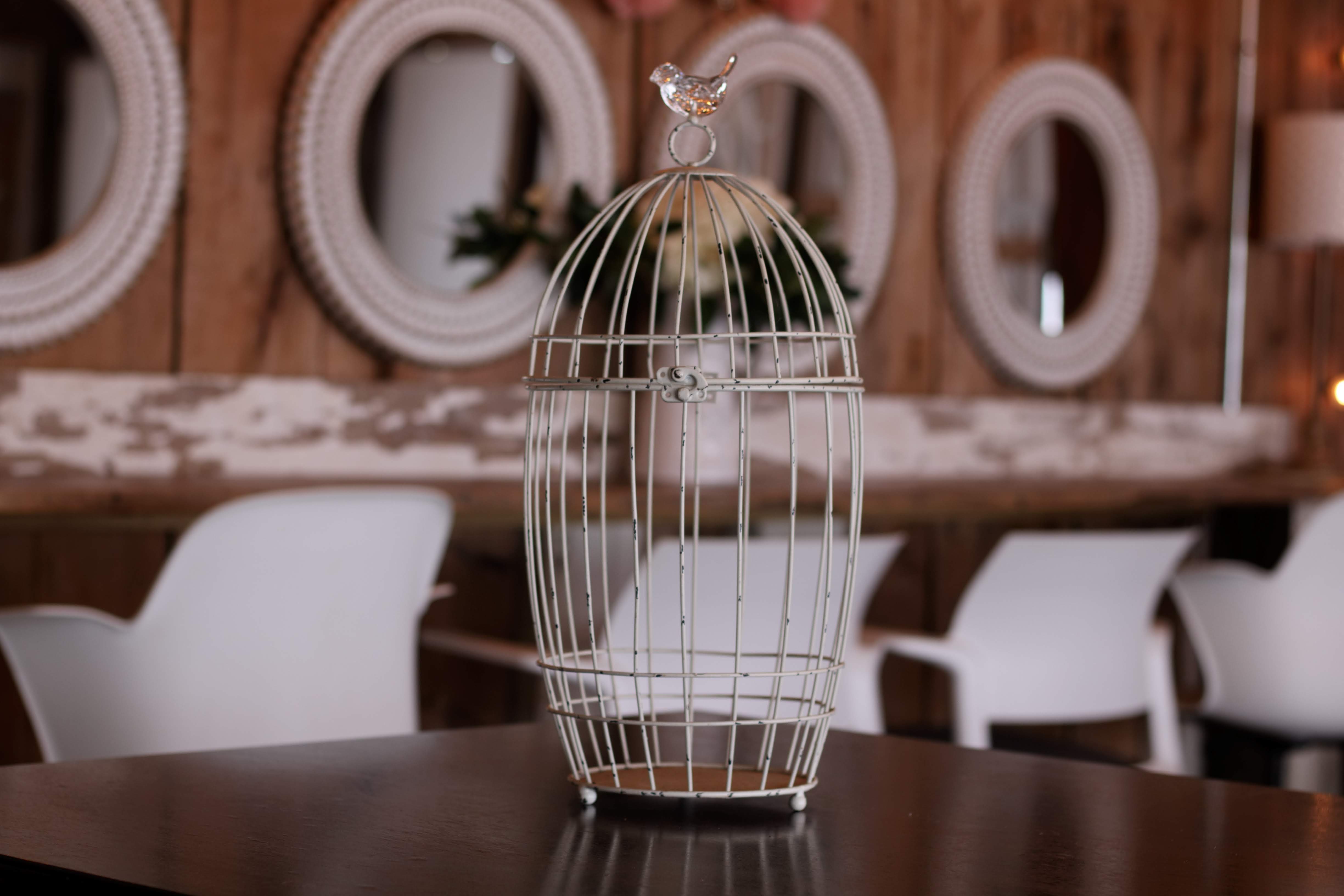 Large Birdcage