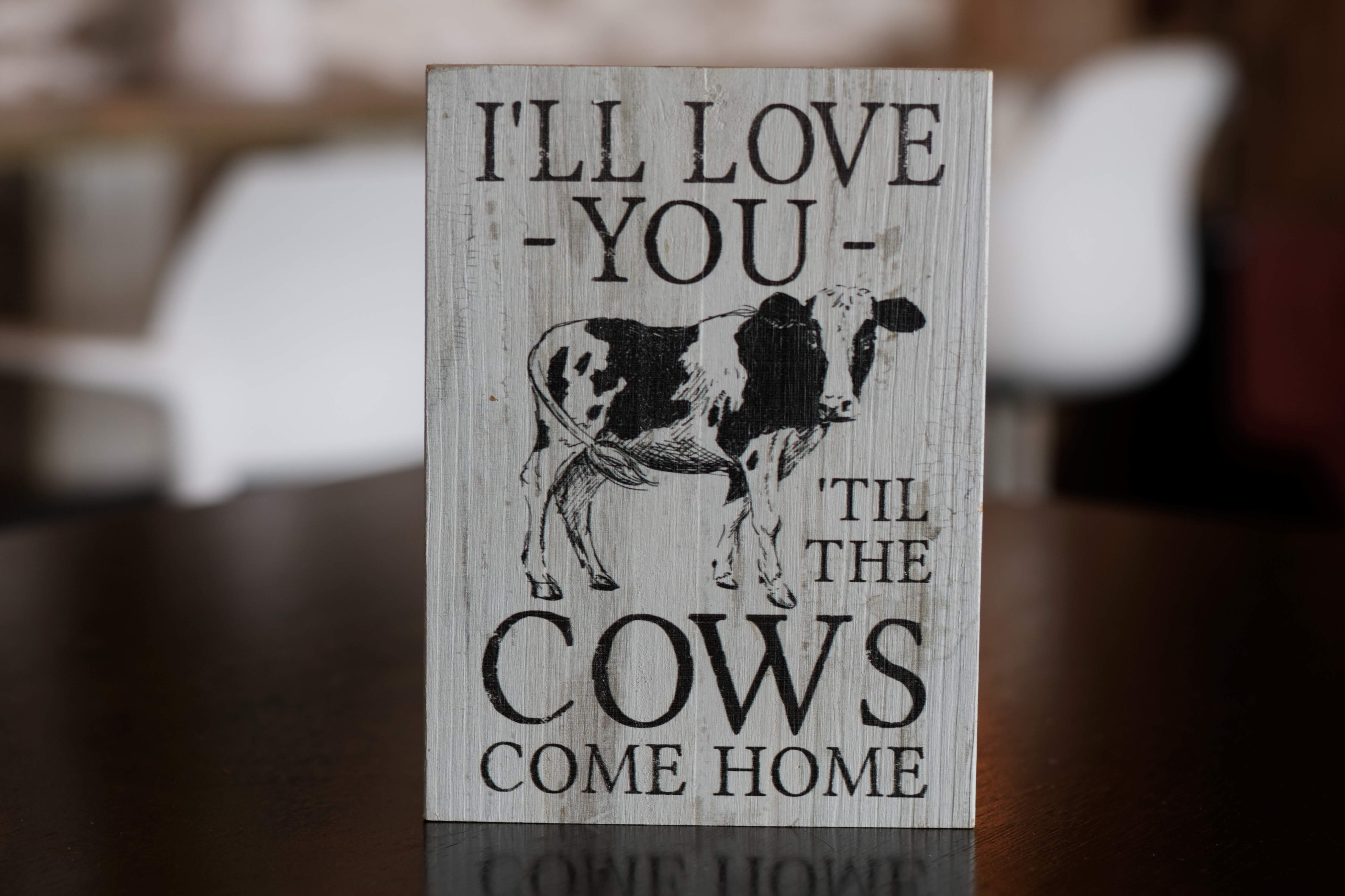 I'll Love You - Cow