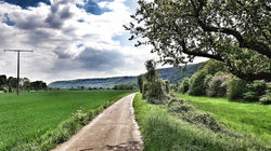 Rheinisches Idyll