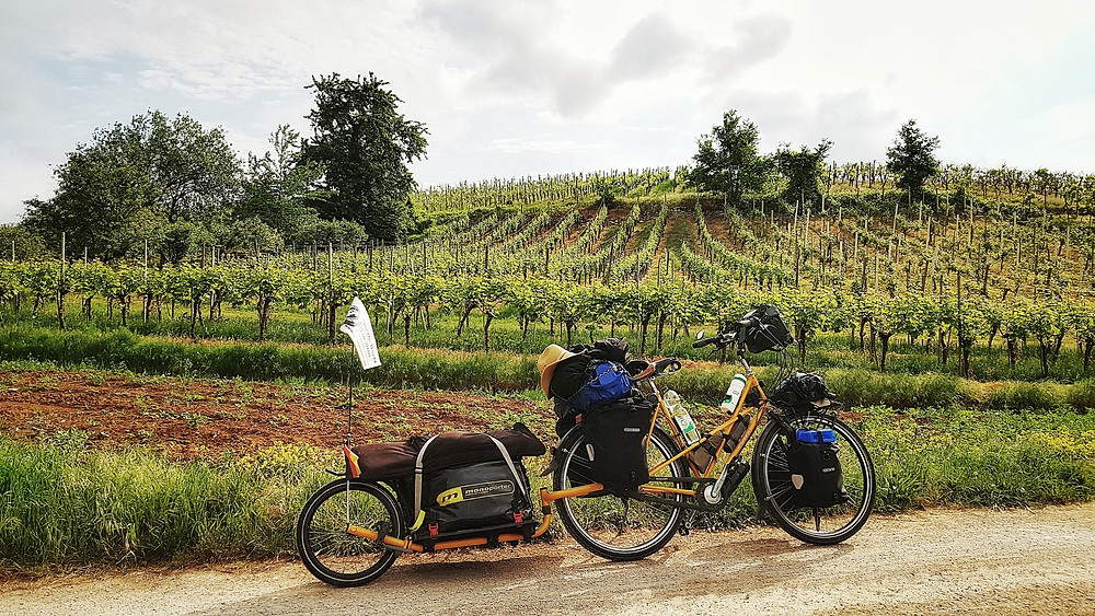Hügelige Weinberge im Hintergrund. Davor mein Reiserad nebst Anhänger.