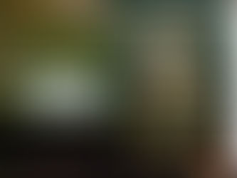 Book Review: Witches, Midwives, and Nurses