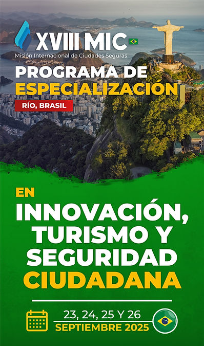 portada Brochure MIC.jpg
