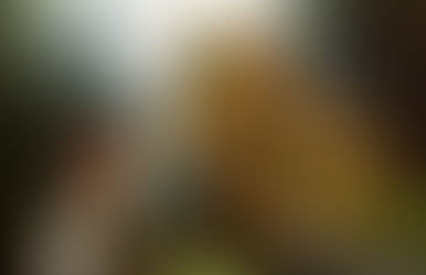 The Dragon asked Who are You?